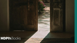 A door showcasing Sri Lankan architecture